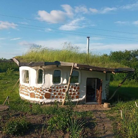 Сказочный Дом Villa Buki  Екстериор снимка